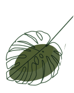 Monstera leaf illustration symbolizing a calming and professional atmosphere for therapist and counselor websites.